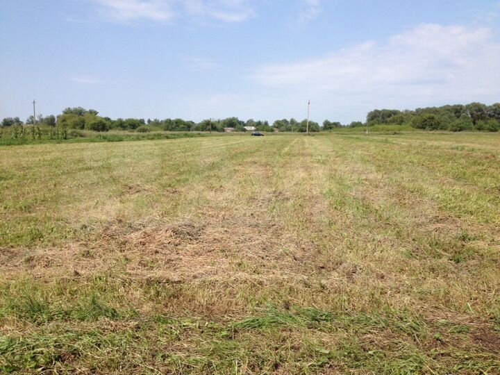 Участок 59 сот. (ИЖС)