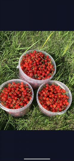 Дача 50 м² на участке 35 сот.