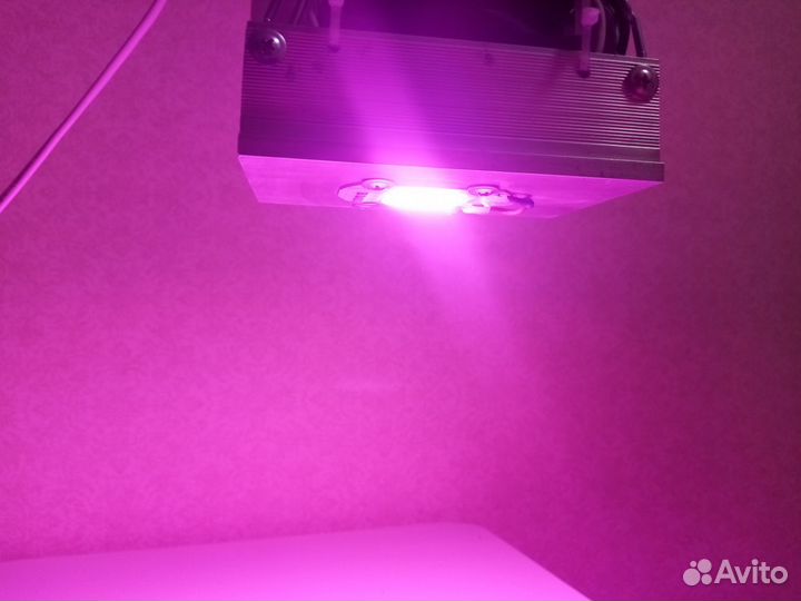 Фитолампа для растений