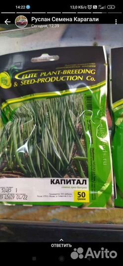 Лук на перо