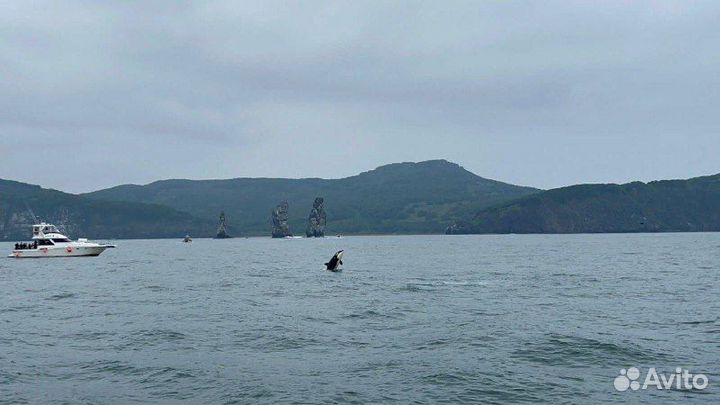 Морская прогулка к острову Старичков