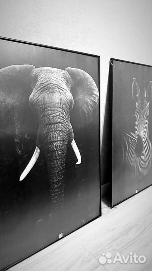 Картины и постеры