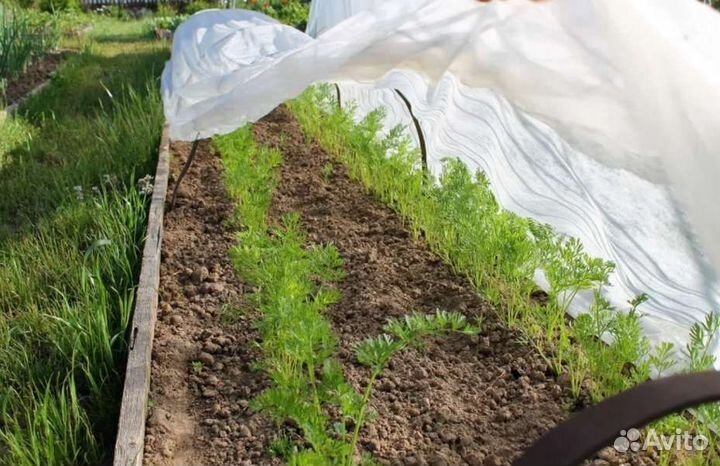 Укрывной материал спанбонд агроткань для теплиц