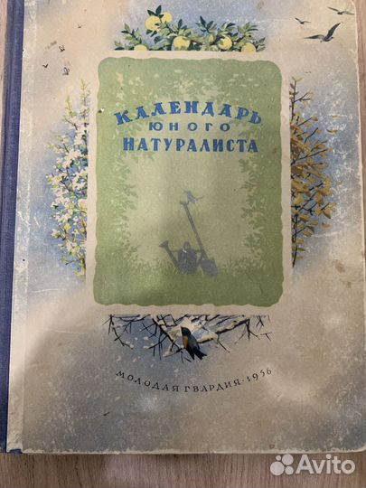 Книга Календарь юн. натуралиста1956год