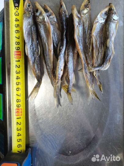 Корюшка вяленная