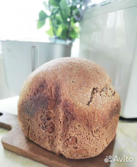 Закваска ржаная