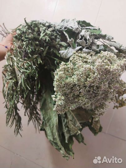 Запарка для бани и травы. Ягода, яблоки, мята