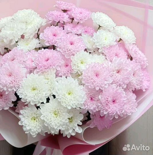 Цветы Букет Гигант Хризантемы Доставка