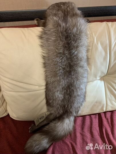 Шкурка песца