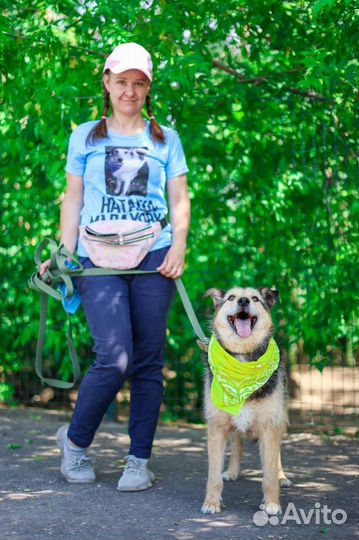 Собака ждёт семью много лет