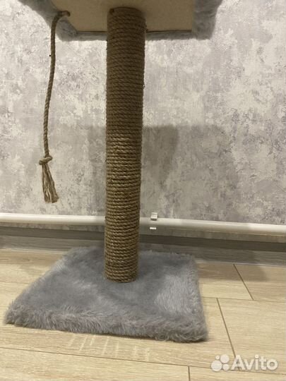 Когтеточка