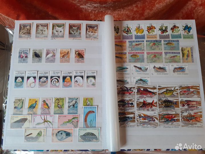 Марки,фауна,флора