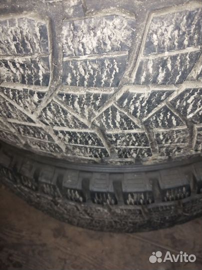 Maxxis Premitra Ice Nord NS5 225/55 R18 30N