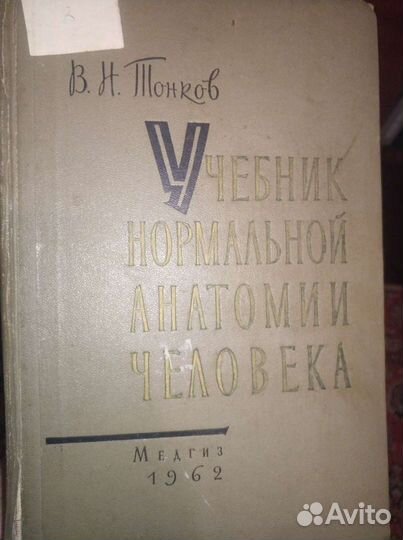 Анатомия