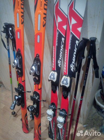 Горные лыжи