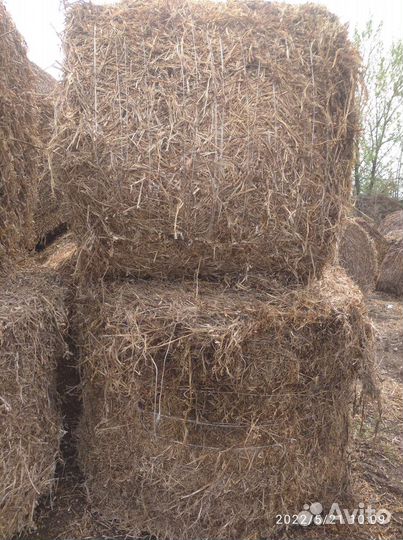 Солома в тюках, сено360 кг, 1.8диаметр, 1.3 ширина