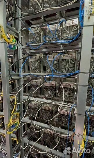 Асик майнер Antminer asic Whatsminer