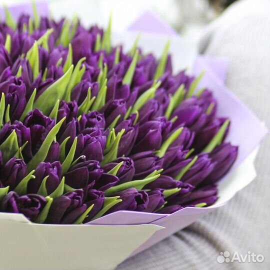 Букет из 101 фиолетового тюльпана