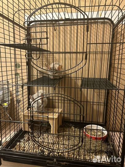 Клетка большая для крупных грызунов б/у