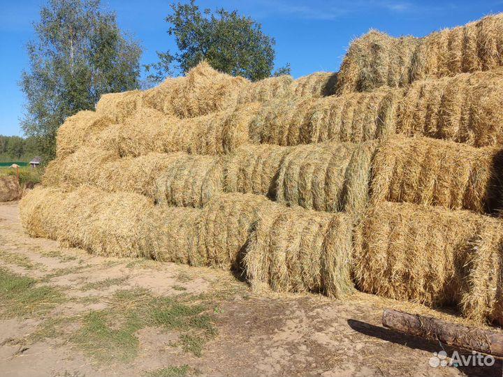 Солома в рулонах с доставкой