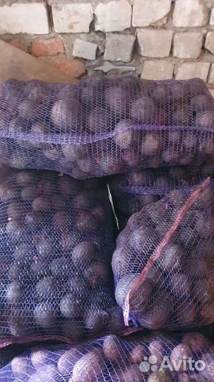 Достовка овощей и фруктов оптом