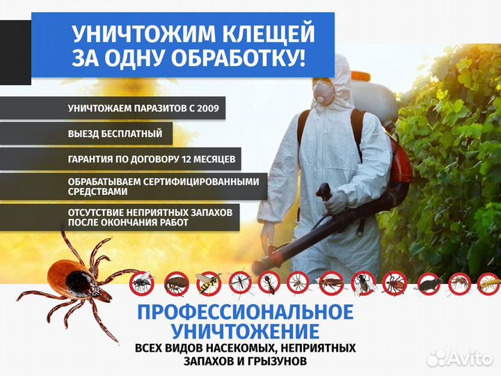 Дезинфекция