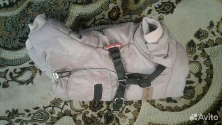 Одежда для собак