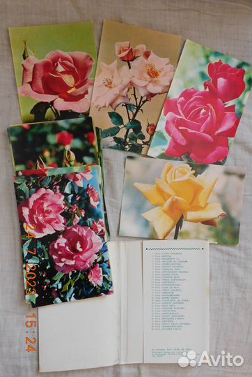 Коллекция открыток