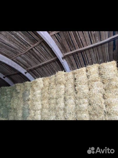 Сено, солома, ячмень