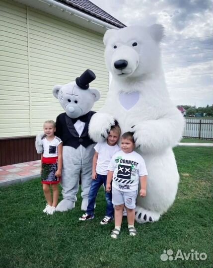 Белый мишка поздравление