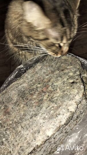 Фарш из минтая/горбуша/форель для животных