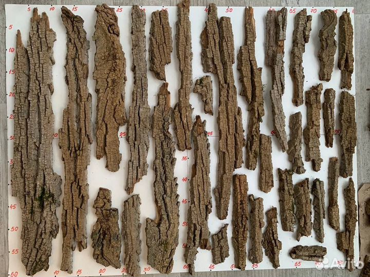 Кора пробкового дуба