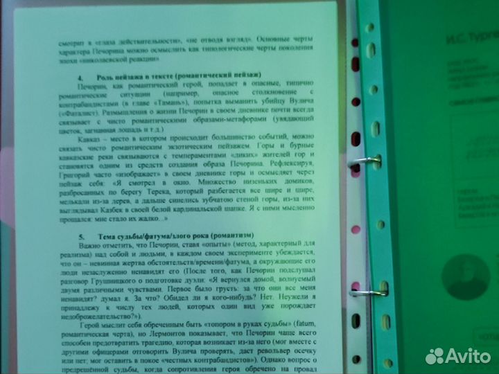 Егэ (литература)