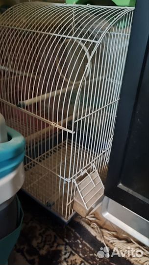 Клетка для птиц