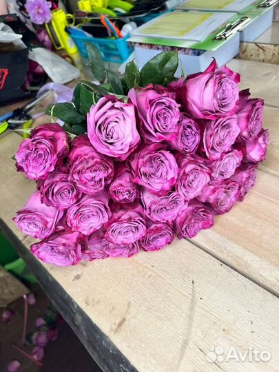 25 роз букет из роз Эквадор доставка