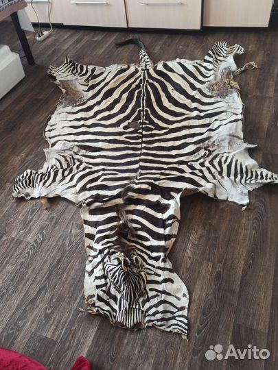 Шкура зебры