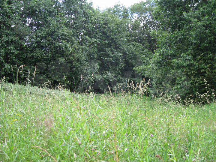 Участок 4,35 га (СНТ, ДНП)