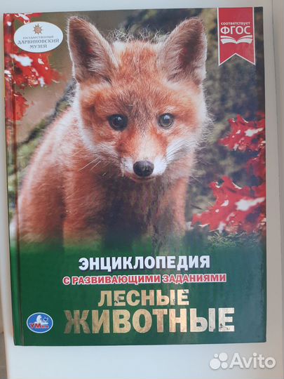 Детские энциклопедии