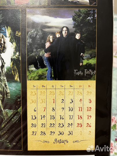 Календарь Гарри Поттер на 2025 год
