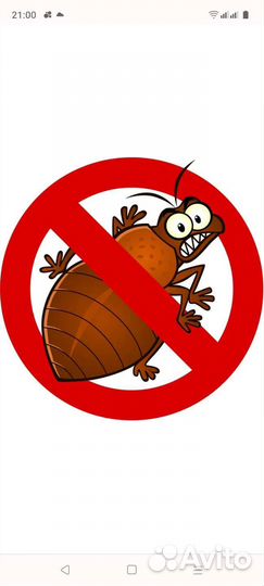 Уничтожение клопов травить тараканов обработка