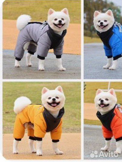 Комбинезон для собаки