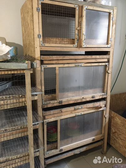 Брудера для птицы