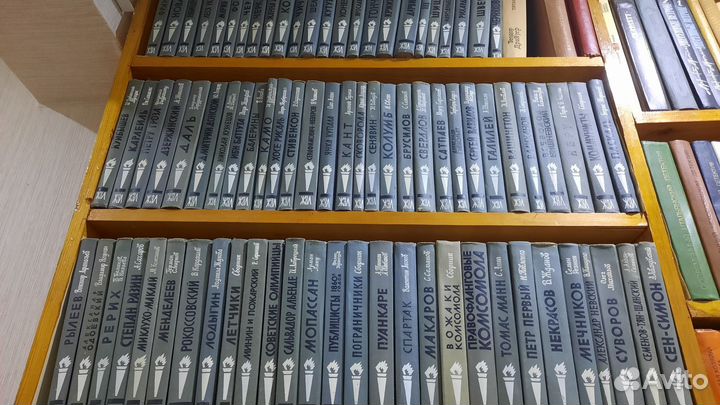 Книги серии жзл