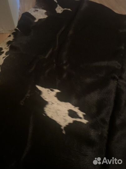 Ковер из шкуры коровы
