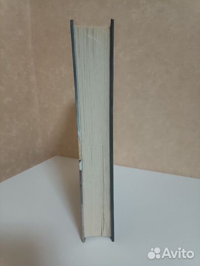 Чернобыльская тетрадь, Григорий Медведев