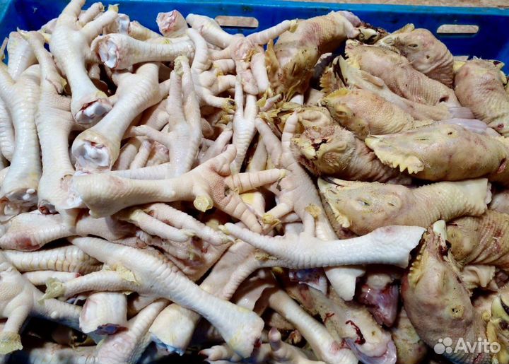 Потроха домашние куриные