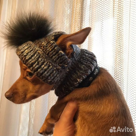 Шапочка вязаная для маленьких собак