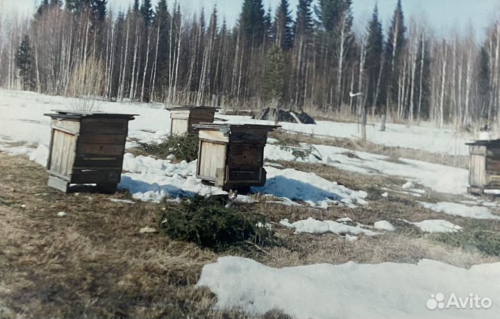 Ульи в чехлах для зимовки