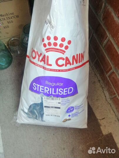 Когтеточка корм лоток все за 3