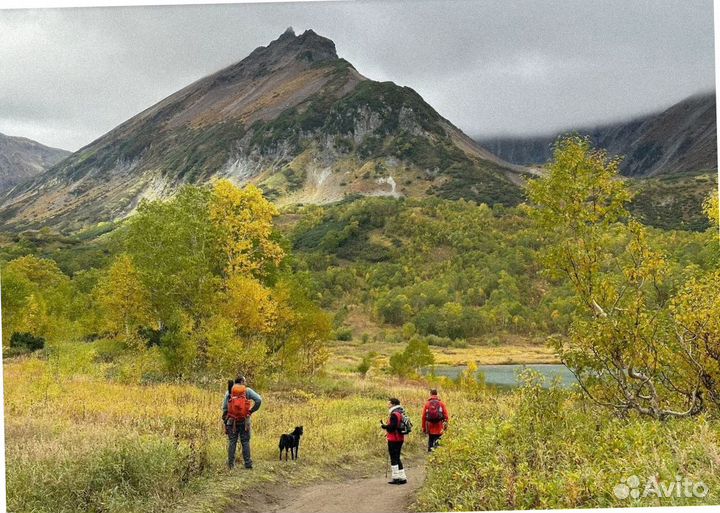Летом на Камчатку тур экспедиция до 9 дн